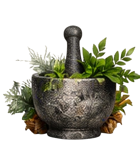 Natural herbs in mortar and pestle