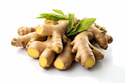 GINGER